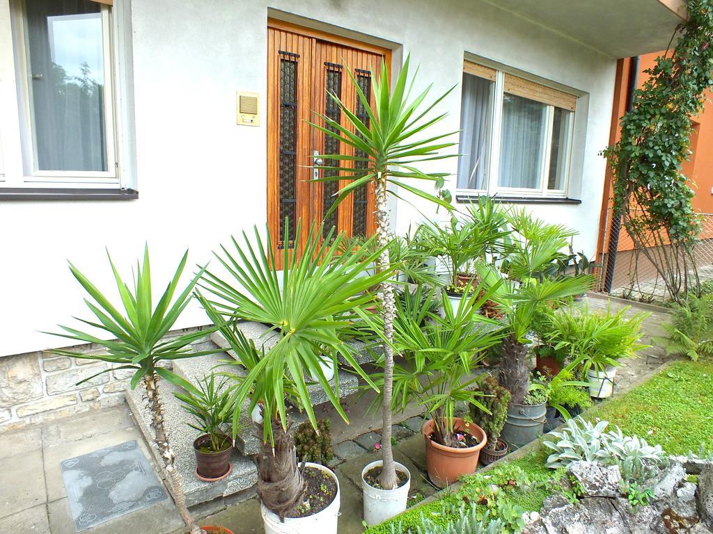 Biba Rooms Karlovac Exteriör bild